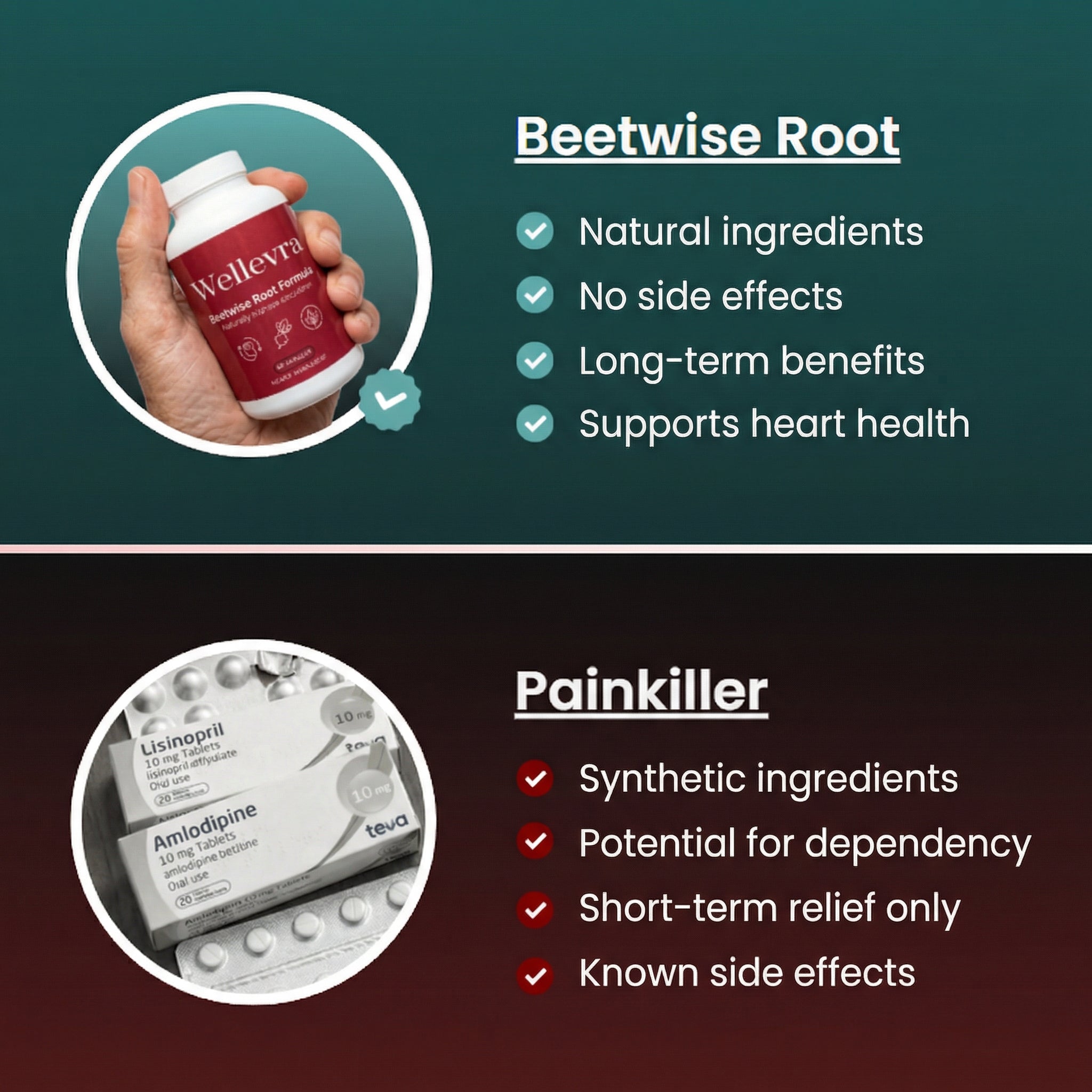 Beetwise Complex