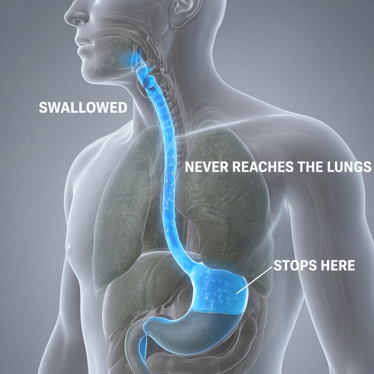 Nothing you swallow ever reaches